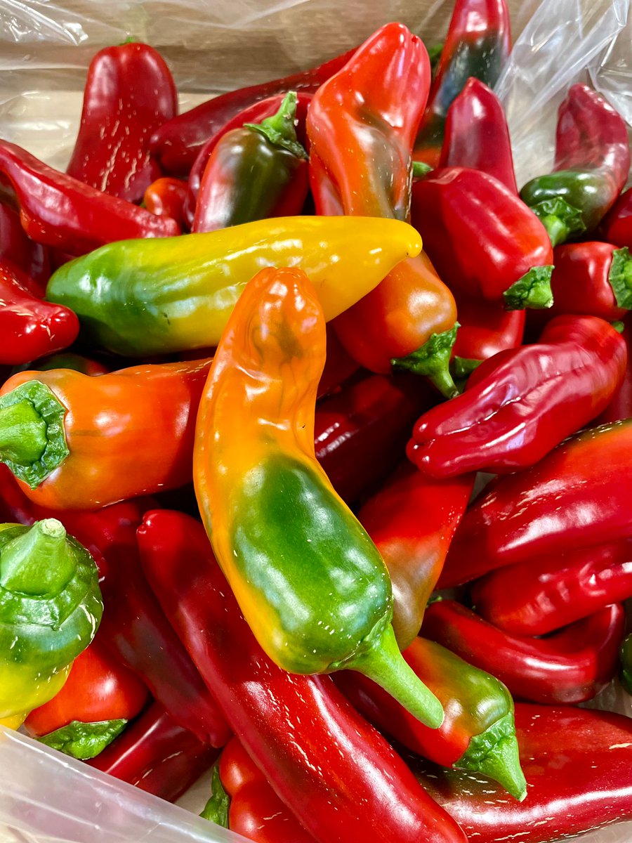 There's no shortage of peppers at the market! And they're locally-grown, beautifully fresh and we think that makes them extra delicious 🫑🌶️