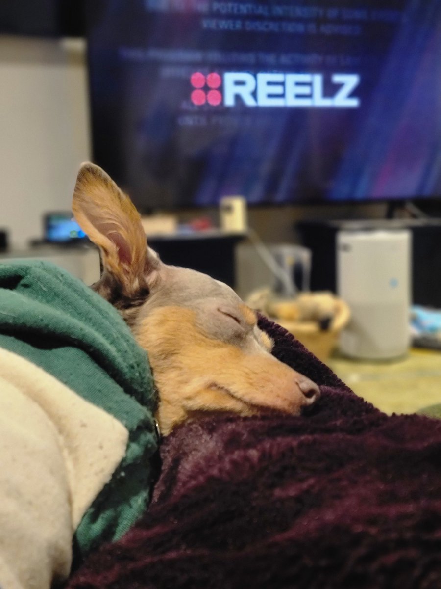 cn_angel's tweet photo. Taken a quick nap before #OnPatrolLive #OPLive @OfficialOPLive @ReelzChannel https://t.co/Fo6pMA8Ad8