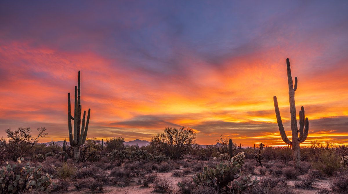 Beautiful #sunset tonight over #Tucson #Arizona metro area and all points south and west. <a href="/sheasorensonwx/">Shea Sorenson</a> <a href="/NWSTucson/">NWS Tucson</a> <a href="/MallorySchnell/">Mallory Schnell</a> <a href="/WaldrefWeather/">Stephanie Waldref</a> #sunsetphotography
