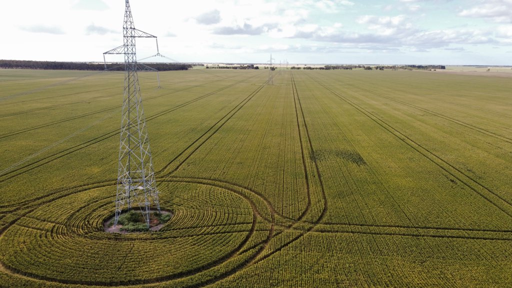 <a href="/D_LittleproudMP/">David Littleproud MP</a> Hundreds of farmers across Australia have successfully farmed under major transmission lines for decades without compensation or issue. Why don't you ask/quote farmers who are successfully and productively farming under wind turbines &amp; transmission lines?
<a href="/LilyDAmbrosioMP/">Lily D'Ambrosio MP</a>