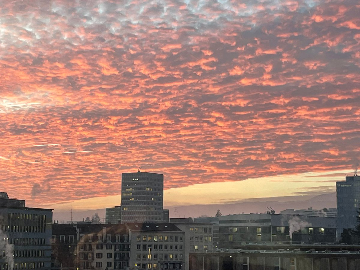 LailaRodriguez's tweet photo. Back to All About #Geneva or what happens when you can't stay away
https://t.co/SUsNzv9VsC https://t.co/cxw4Ohg5WG