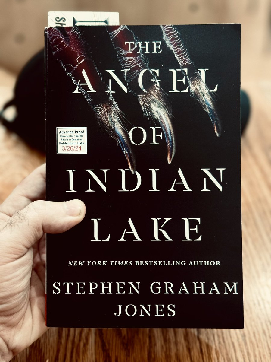 Today’s reading: #theangelofindianlake by @SGJ72 🔥❤️🔥 #jadedanielsismyfinalgirl