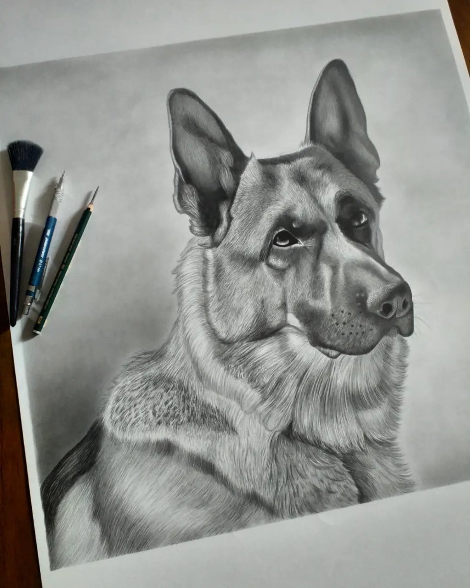 dlescobar94's tweet photo. @Rodolfollanosok Ig d__realismo Retratos fotorealistas en grafito https://t.co/osIlYUuGMK