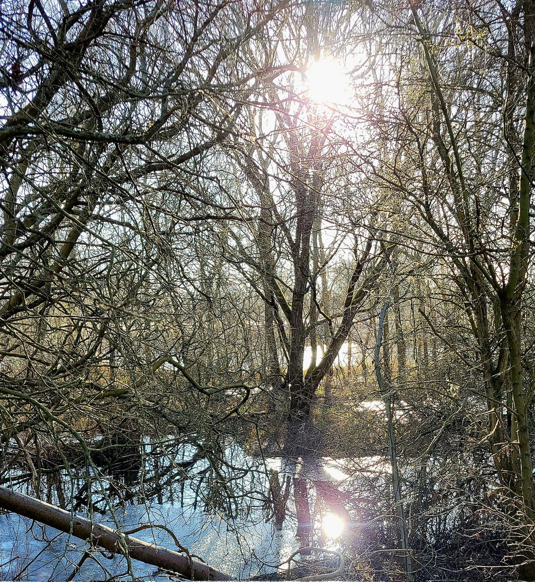 WistfulCass's tweet photo. Farewell #Winterwatch, already yearning for #Springwatch
@ChrisGPackham's words about this season's beauty were true & non-clichéd
Visited @WKWT site at Brandon Marsh, nr #Coventry & his words rang so true. Utterly mesmerising
#SOSWildlife #bbcnature https://t.co/u6fvr41G93