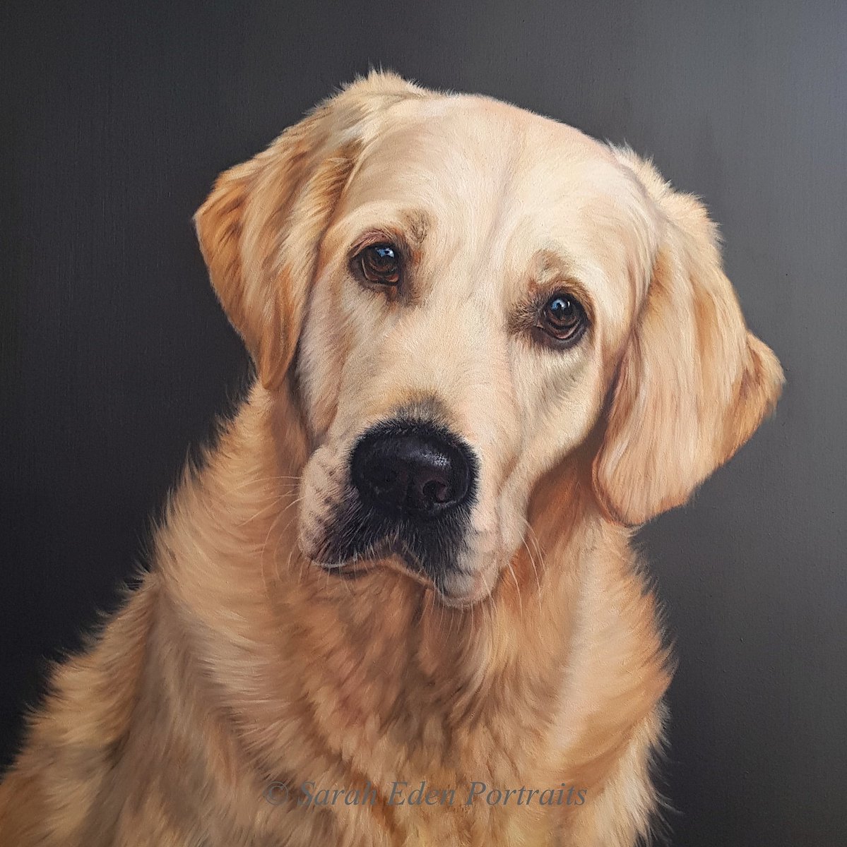 This is a real oldie but still one of my favourites! 

 'Islay', Oil on board, 16 x 16'

#retriever #goldenretriever #dogportrait #artist #petportrait #goldenretriever #retrieversofinstagram #retriever #retrievers #dogportrait #dogpainting #animalcreatives #animalart #oilpainting