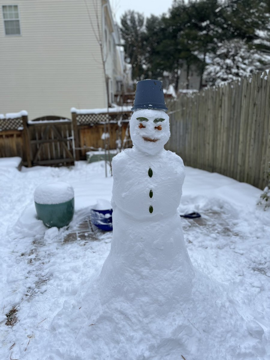 When life gives you winter storms, go frolic in the snow!