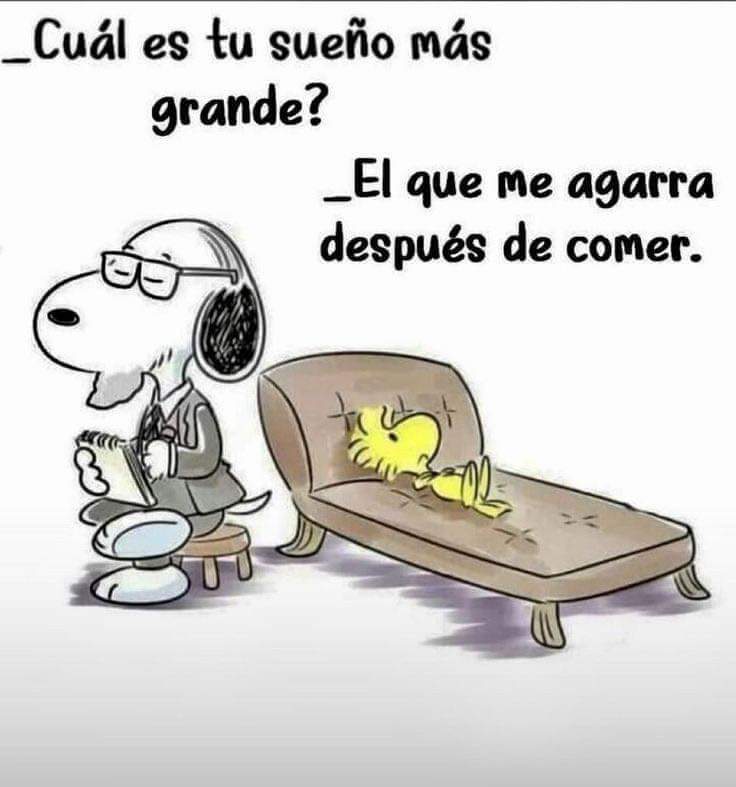 Sara Prez Lpez tweet media