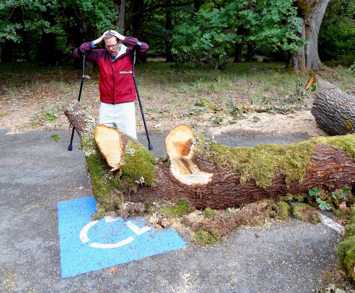 Dave Bexfield tweet media