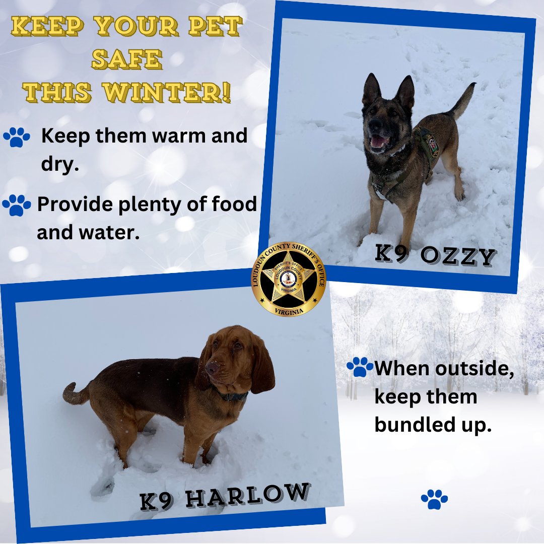 LoudounSheriff's tweet photo. Brrrr-ruff! #LCSO K9s Ozzy and Harlow would like to remind you to keep your pets safe in the cold weather.
If it's too cold for you, it's too cold for them.
#keepdogsafe #winter https://t.co/nym9X9mRLv