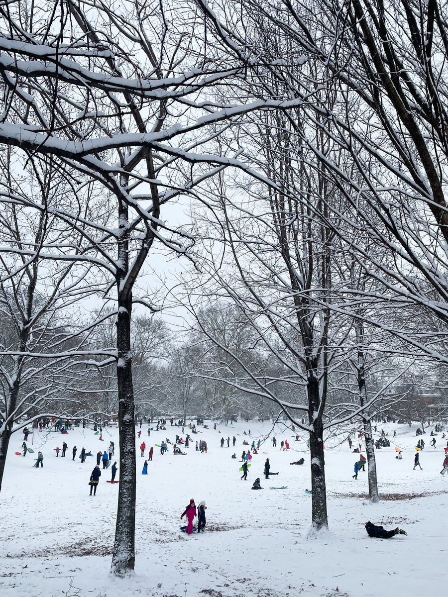 there is much pain in this world but not in philadelphia on a snow day