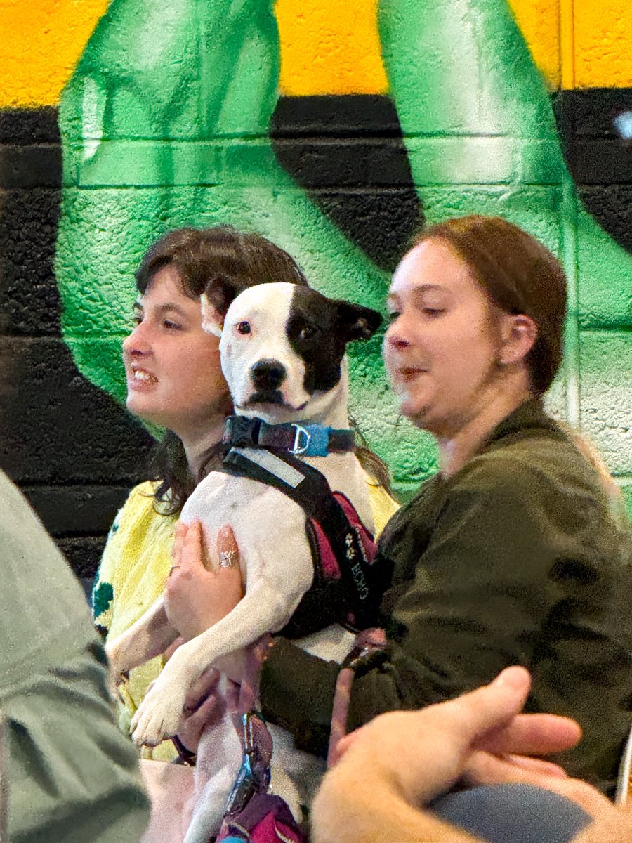 𝐂𝐫𝐚𝐢𝐠 𝐇𝐞𝐰𝐞𝐭𝐭 tweet media