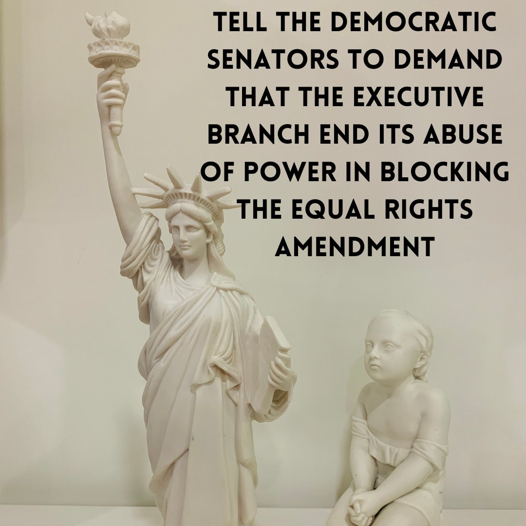 RethinkingEve's tweet image. Tell the #Democratic Senators to demand that the #ExecutiveBranch end its abuse of power in blocking the #EqualRightsAmendment  

#Biden must #PublishTheERA now