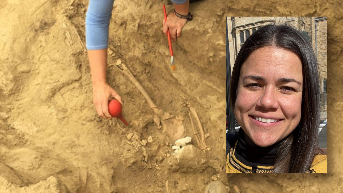 Yale Peabody Museum (@yalepeabody) on Twitter photo Join us LIVE ON ZOOM next Thursday (11/25) @ 4pm for
"Magnetism Meets Malaria: Ancient Bones, Modern Methods, and the Future of Diagnostics"
w/ <a href="/Yale/">Yale University</a> Ph.D. candidate Mallory Cox! <a href="/Yale_Anthro/">Yale Anthropology</a>
Info and registration here:
yale.zoom.us/webinar/regist⦠Join us LIVE ON ZOOM next Thursday (11/25) @ 4pm for
"Magnetism Meets Malaria: Ancient Bones, Modern Methods, and the Future of Diagnostics"
w/ <a href="/Yale/">Yale University</a> Ph.D. candidate Mallory Cox! <a href="/Yale_Anthro/">Yale Anthropology</a>
Info and registration here:
yale.zoom.us/webinar/registā¦
