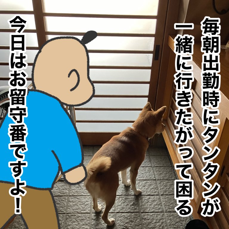 日々勤労意欲を燃やす犬