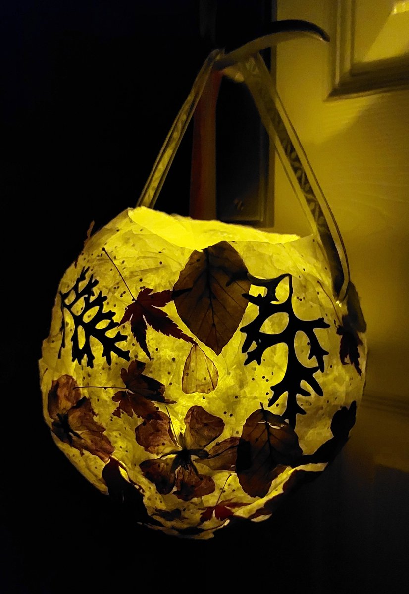 We made these lovely lanterns with the pressed foliage and flowers from the garden.