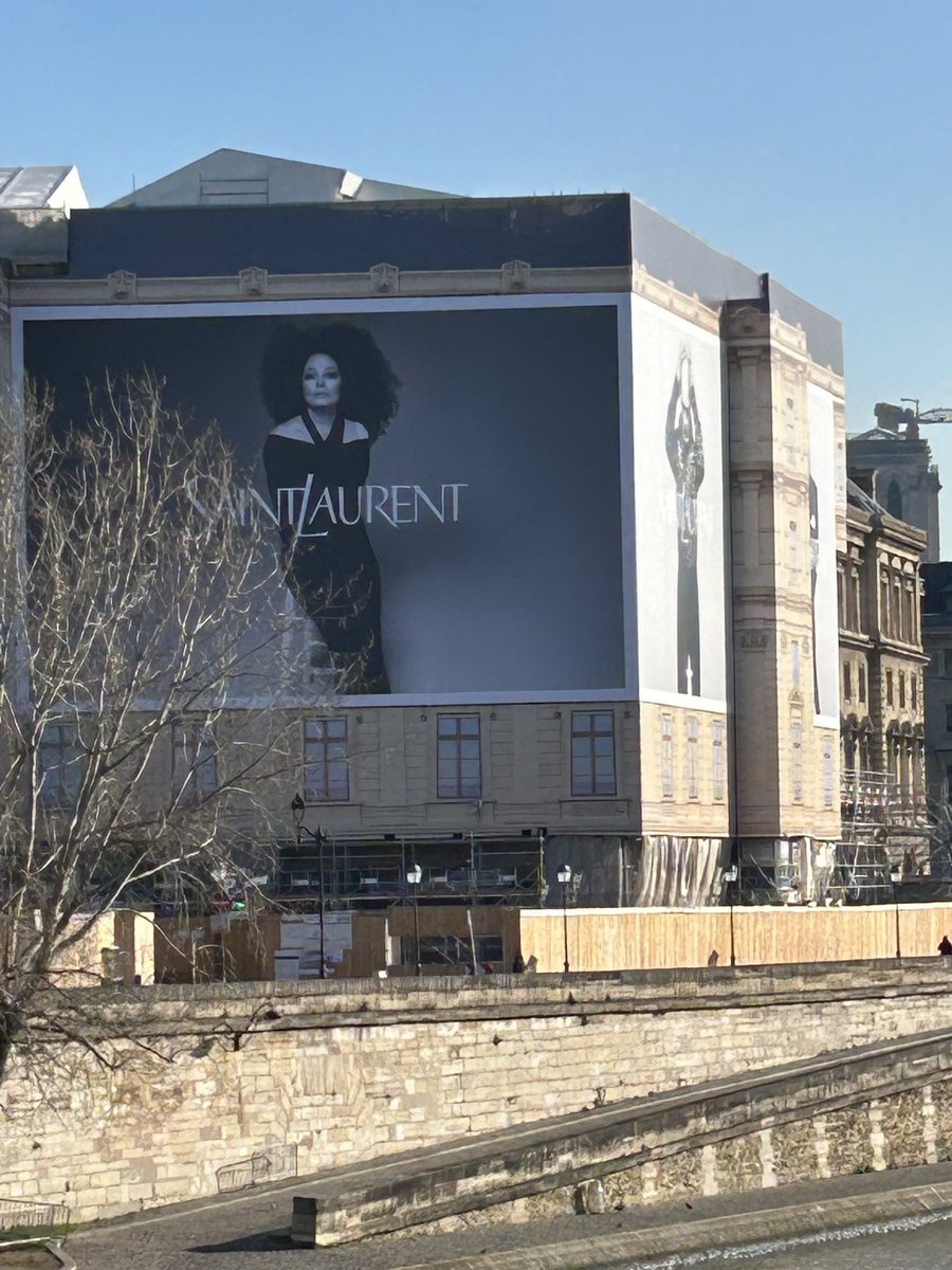 cmpalmaro's tweet photo. @DianaRoss Today in Paris! Magnifique 🇫🇷🔝⭐️ https://t.co/mk9PB0TWOd
