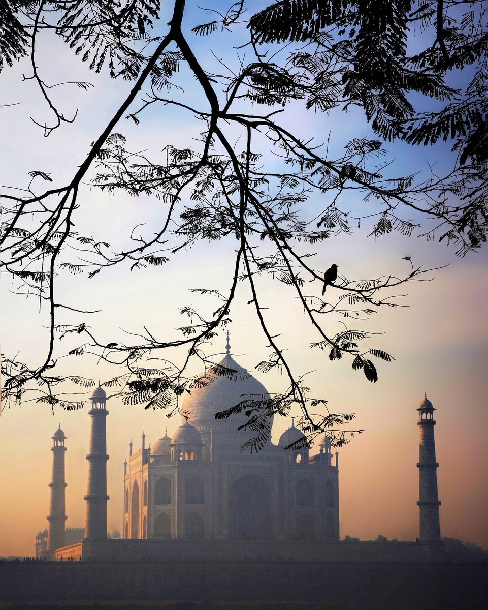 #BuenasNochesATodos 🌹 Taj Mahal (Foto©️Abbas Baig)