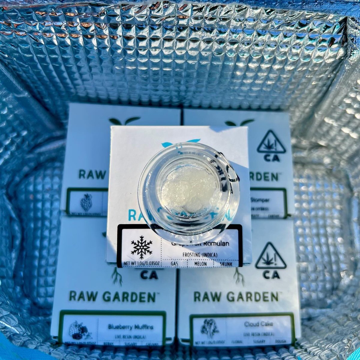 _rawgarden's tweet image. Your taste, your vibes, your feedback – it all matters! 🎊 Tell us, should our Frosting coolers rock the RG green? 👀🌱

📸: @tokiowl

#Frosting #Frostingfeedback #limiteddrop