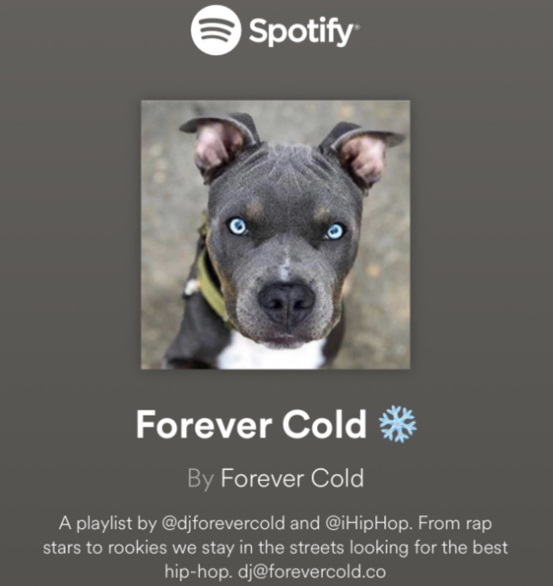 This week's edition of Forever Cold has been updated -- the playlist plug for dope hip-hop, curated by @djforevercold Check out who made this week's list: buff.ly/424hzDQ Follow on Spotify: buff.ly/3u4zCIc