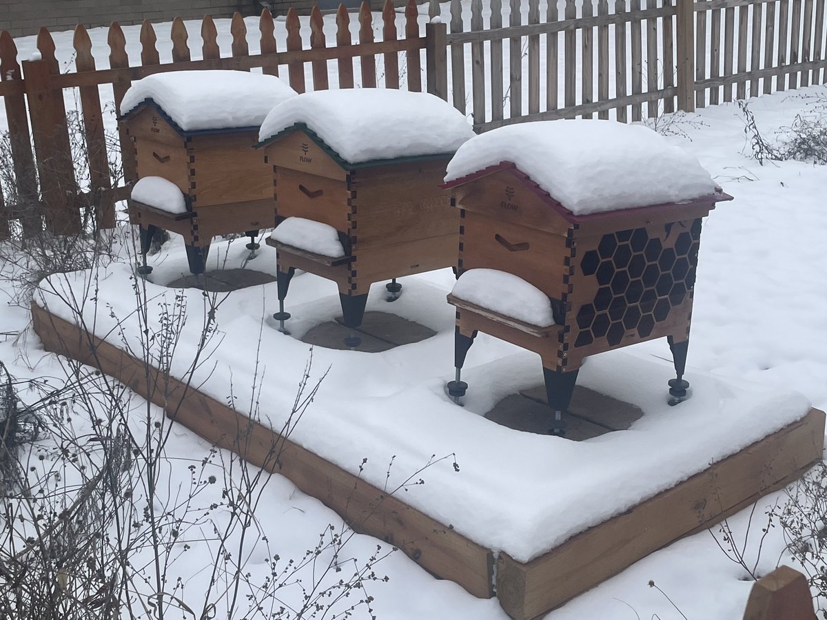 Meanwhile...
<a href="/flowhive/">Flow Hive</a>