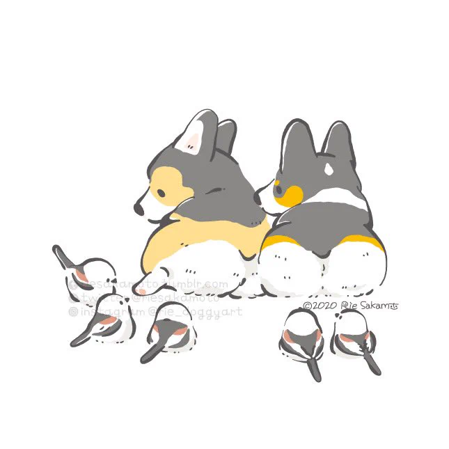 シマエナガの日のコーギーとシマエナガたち #シマエナガの日