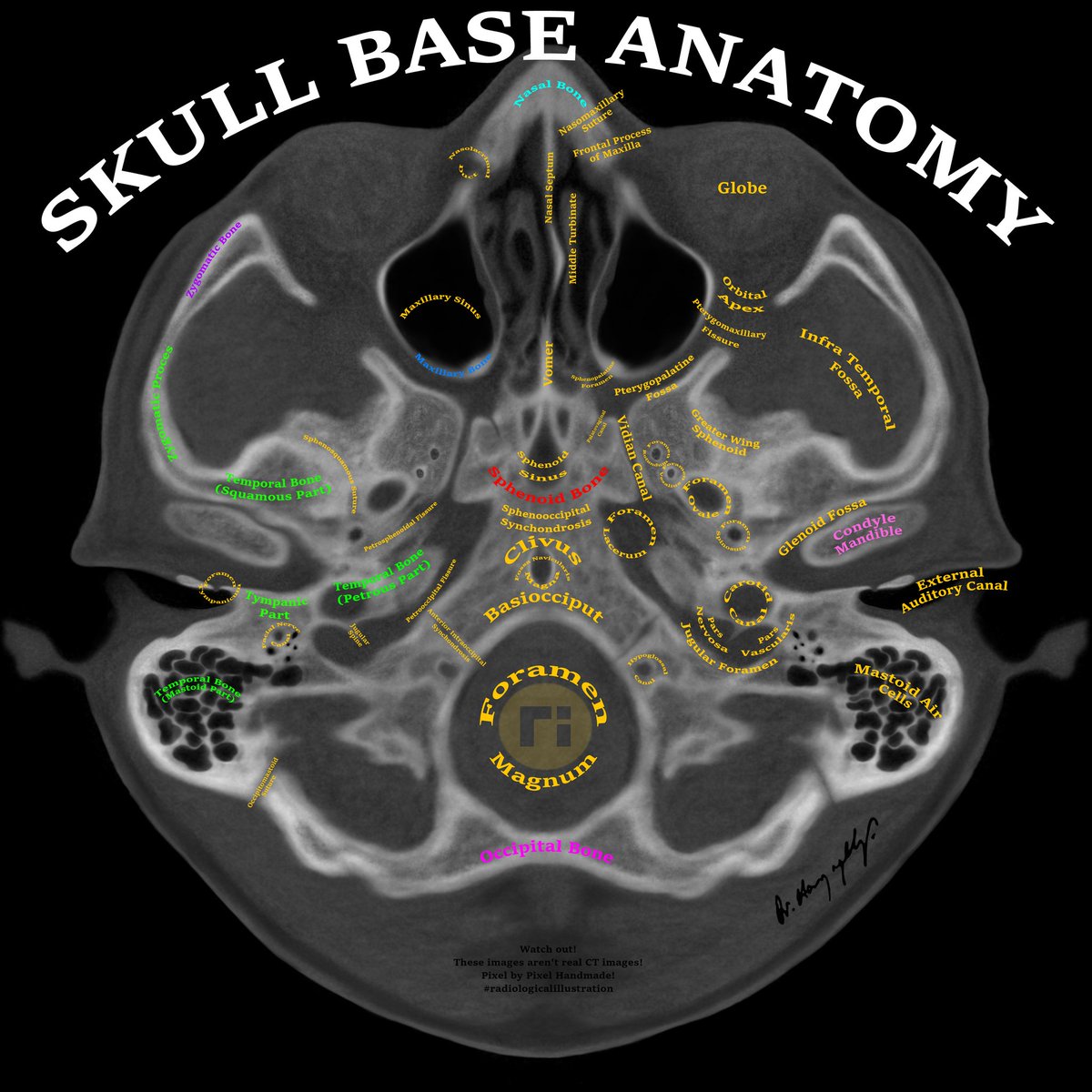 Dr Harun Yıldız tweet media