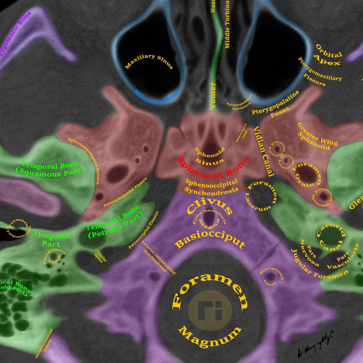 Dr Harun Yıldız tweet media