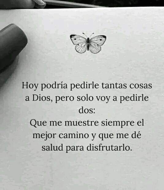 Sara Prez Lpez tweet media