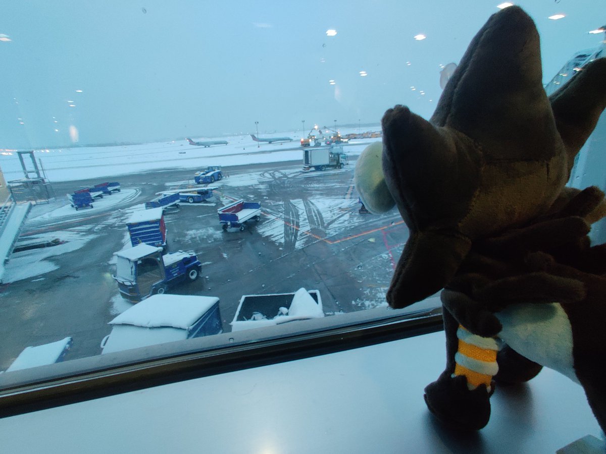 My flight has been delayed twice but me and Luxray are still pumped for #charlotteRegionals 😤