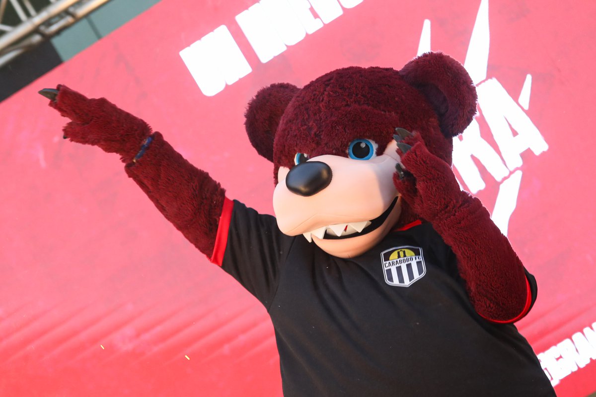 Carabobo_FC's tweet photo. 🚨 ¡𝙉𝙪𝙚𝙫𝙤 𝙛𝙞𝙘𝙝𝙖𝙟𝙚! 🚨

Le presentamos a  𝐆𝐚𝐫𝐫𝐚, nuestra nueva mascota para hacer de 2024 un año #MásGranate 🇱🇻 🐻

#GalaGranate 👔 https://t.co/wid7TJQQcX