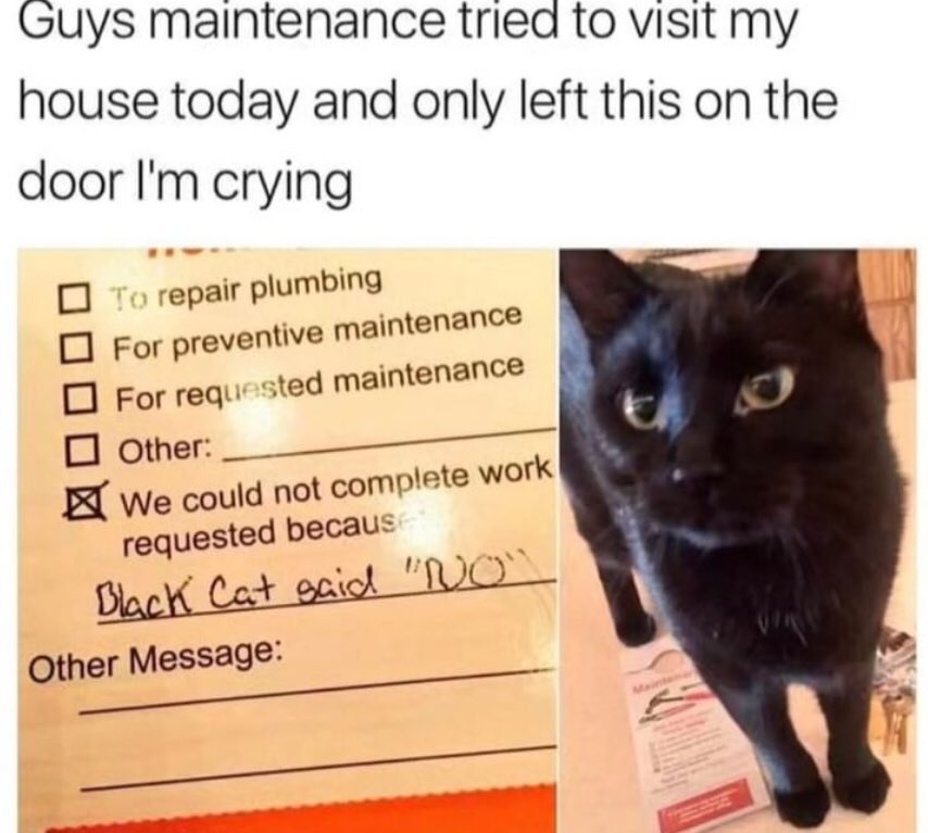 CatsJobs's tweet photo. Maintenance Supervisor https://t.co/p1a7NQnDPj