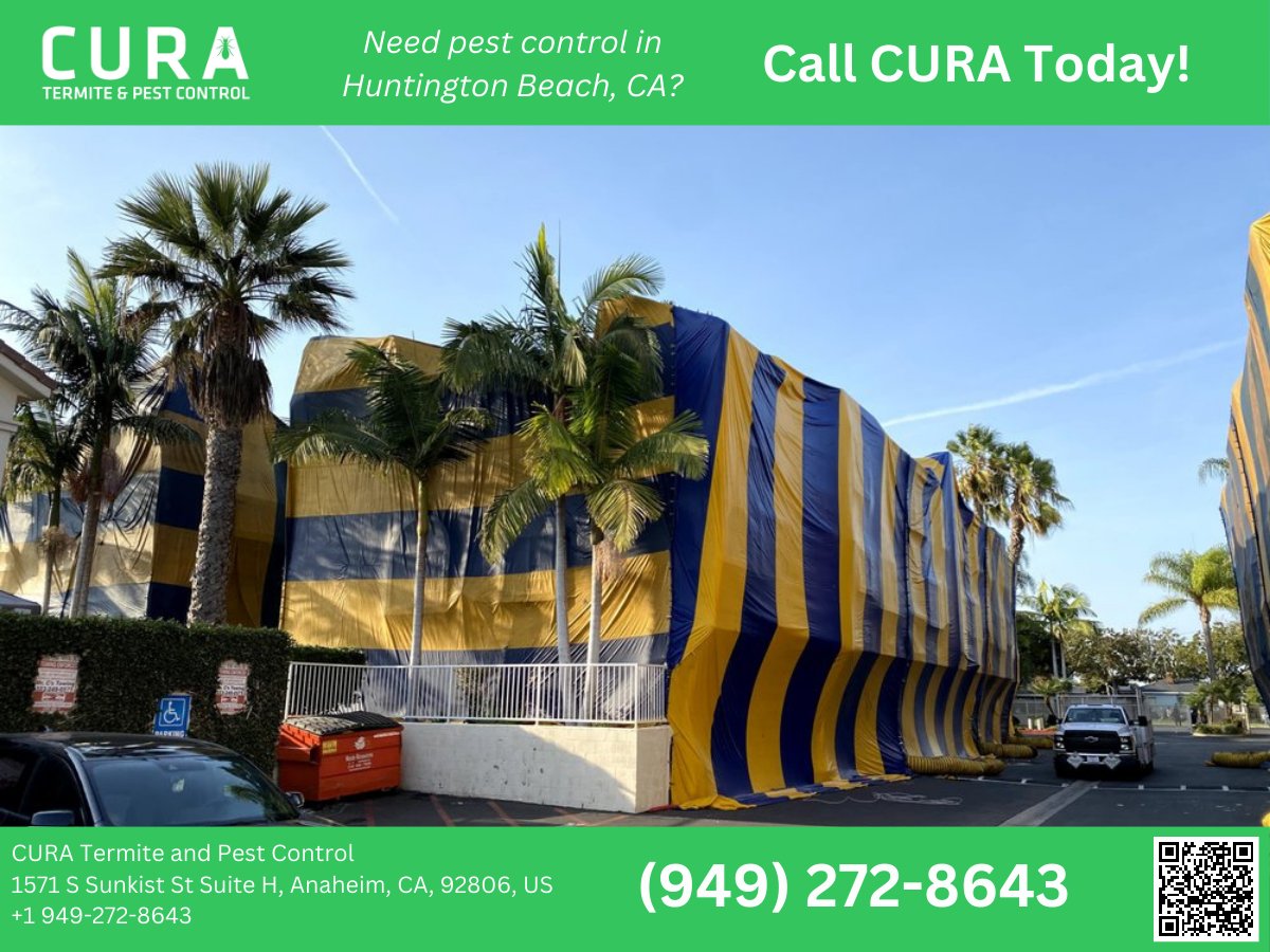 Seeking expert pest control in Huntington Beach, CA? 

Look no further than CURA Termite and Pest Control – your local solution to unwanted guests! 

bit.ly/48WzOgC