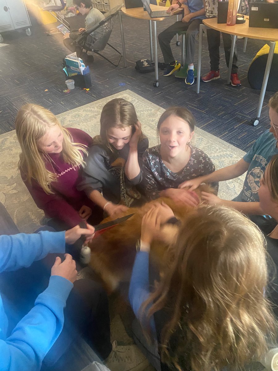 We had a fun visitor this afternoon!