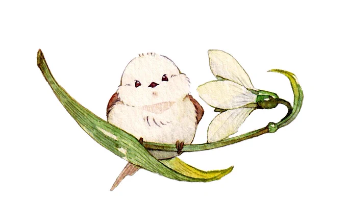 おはよう!今日は大寒であり #シマエナガの日 でもあるんだって! 