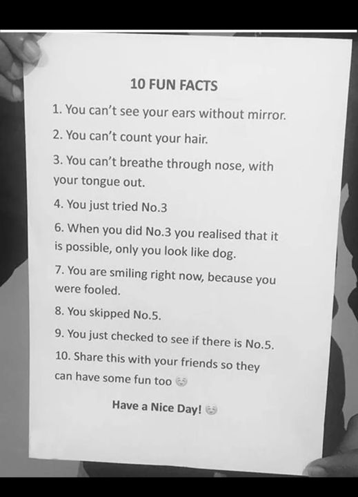 Wild Bill (@kjsdad1234) on Twitter photo 