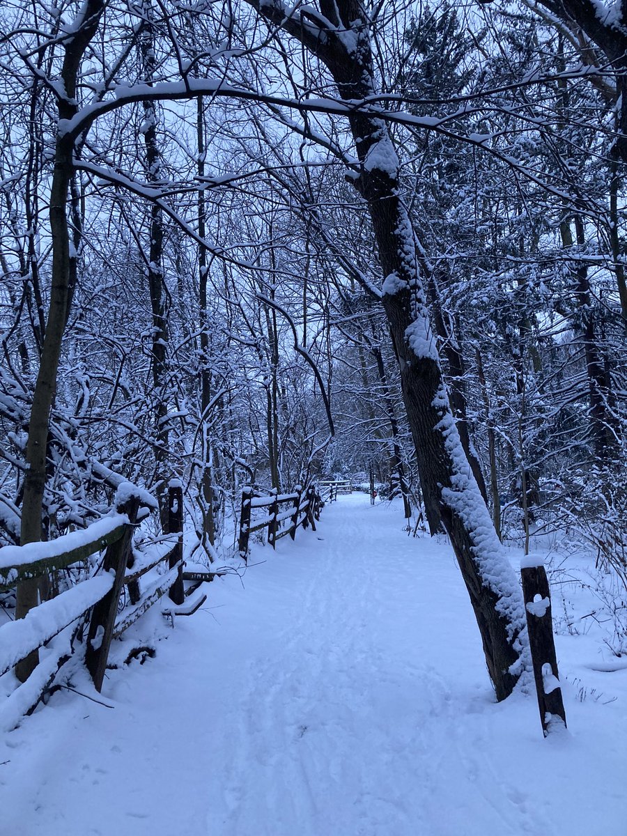 Steve Base Music tweet media