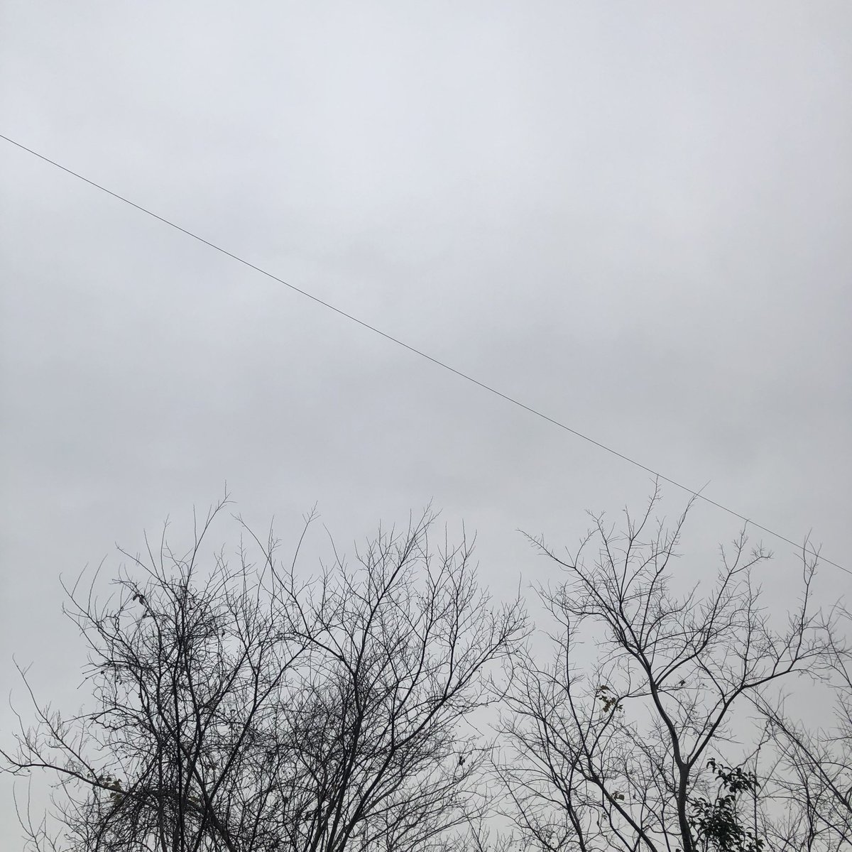 chie1187276's tweet photo. #イマソラ
#いまそら
#空
#曇り
#曇り空 https://t.co/KLSgCfg813