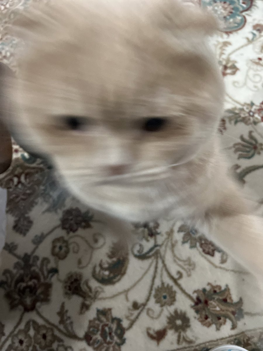 Evlat kokusu bir başka 💕