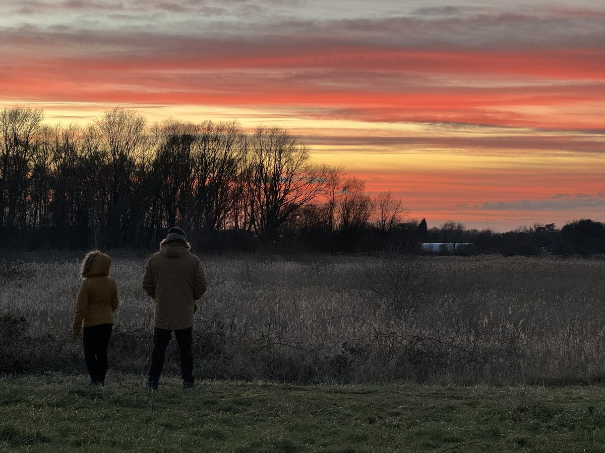 A beautiful sky tonight. We were waiting for a murmuration that never happened … 🦅🥶 #RedSky #RememberingAds