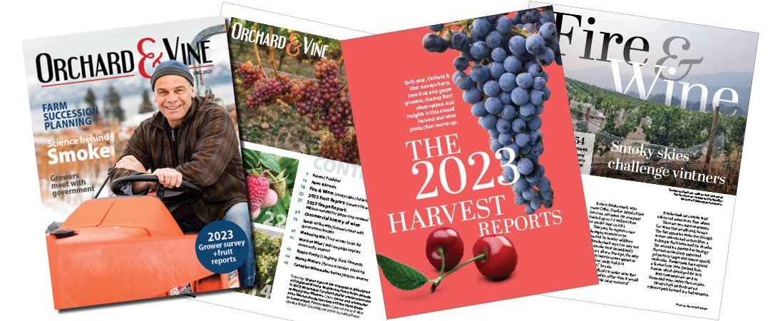 Have your seen the 2023 Harvest reports from <a href="/orchardvinemag/">Orchard & Vine Magazine</a> ? orchardandvine.net/magazine