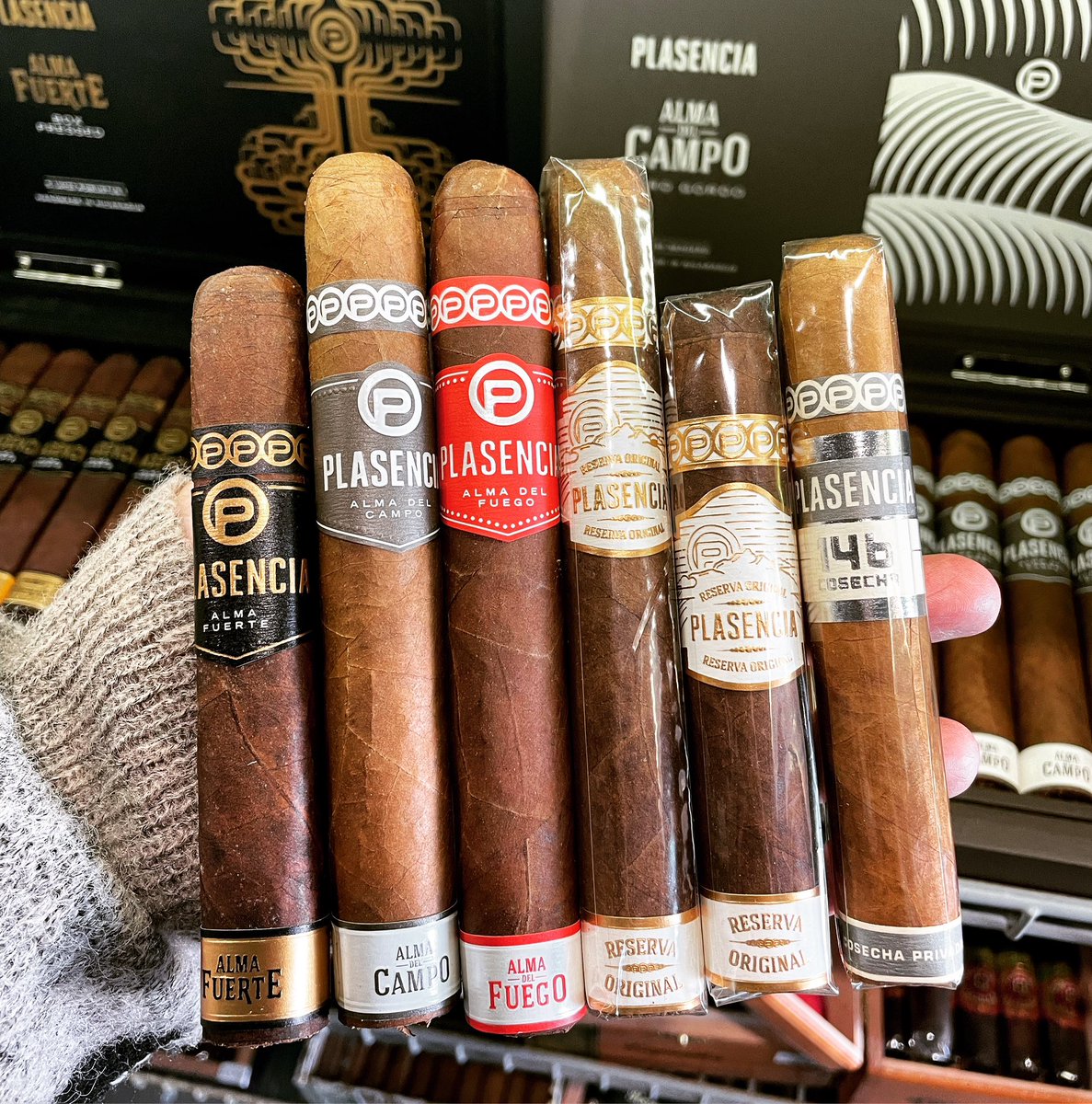 It’s  #cigartime #plasencia #plasenciacigars #elcidscigarshop #elcidscigars #elcidstobacco #elcidscigarlounge #elcids #cigaroftheday #cigarshop #cigarlounge #cigarboss #cigars #sophiassmokes #botl #sotl #cigarpassion #cigarlife #cigarworld