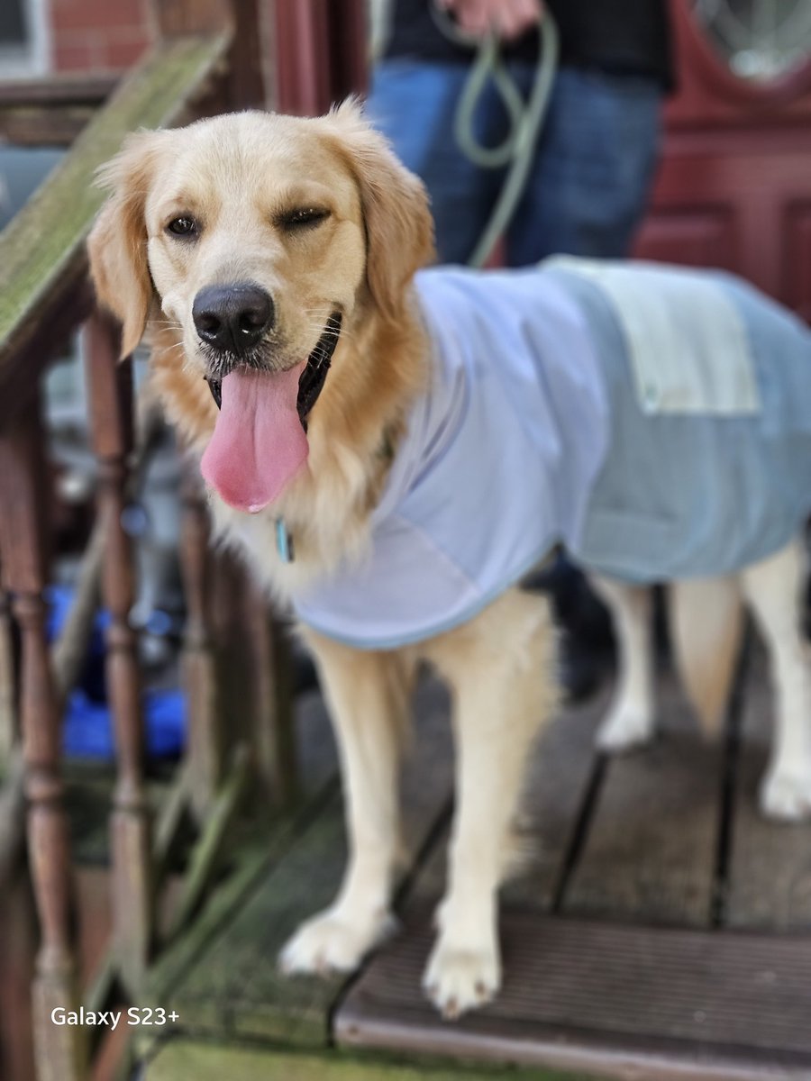 Nikki Piet tweet media