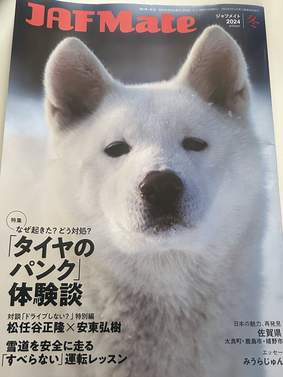 JAF Mateが届いた
秋田犬🐕可愛い💕
この子二重⁉️

アメリカでの秋田犬の出産数って
日本のそれより多いらしい…🙄
そんなもんなんだぁ
なんて思って📕読んでました