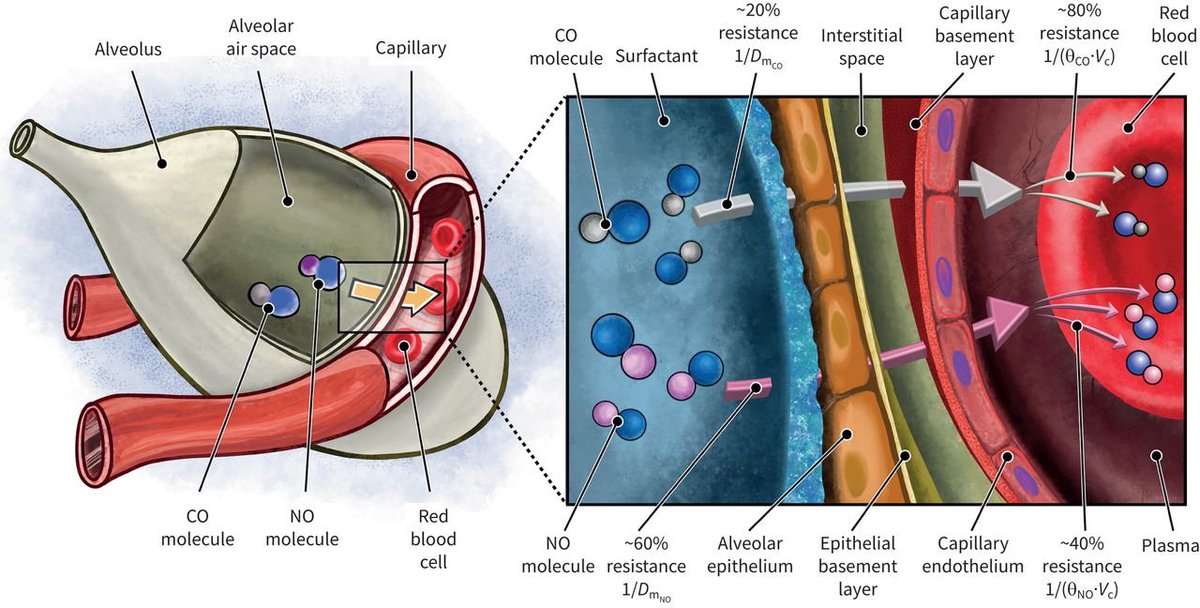 jordi vilaró tweet media