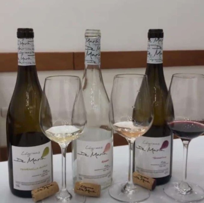 These are some top bottles we've tasted from Bordeaux's 2021 vintage so far. Although it was a challenging year, several producers managed to deliver decent-quality bottles that are in general fresh and balanced, with finesse, and classicism. Read more: jamessuckling.com/wine-tasting-r…