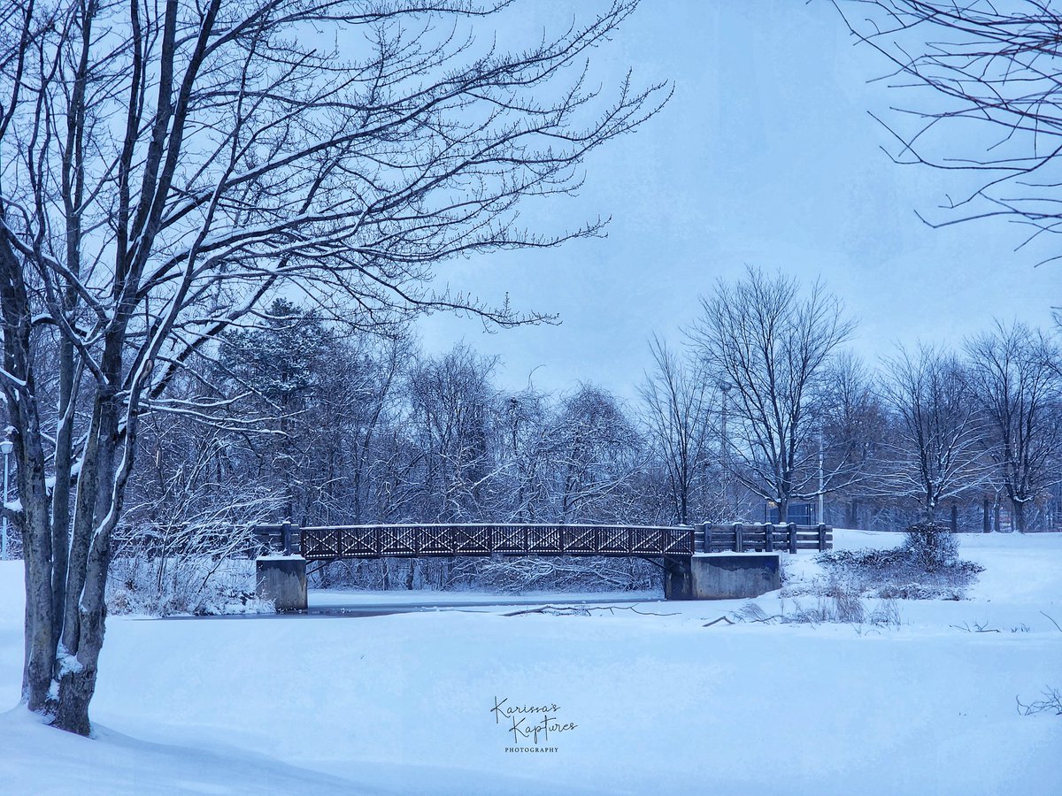 KarissasKapture's tweet photo. ❄️Walking in a winter wonderland!❄️
#KarissasKaptures #n12stormwatchers #Snow #WinterPhotography #WinterInNewJersey #WinterLandscapes #PostcardWorthy #Sayreville #sayrevillenj #Just_NewJersey #gardenstateadventures #FreshSnowfall https://t.co/eXXKLBXjgK