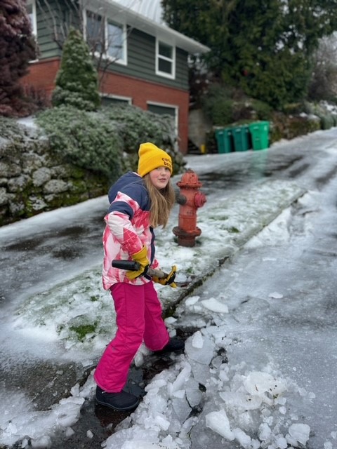 PBOTinfo's tweet image. In this world, be a Shelby.

Ten-year-old Shelby was out today helping her neighborhood by clearing a path for melting snow &amp;amp; ice to reach storm drains.

Snow &amp;amp; ice need a clear path to reach the storm drains. Hardened snow &amp;amp; ice are blocking water that is ponding on our streets.
