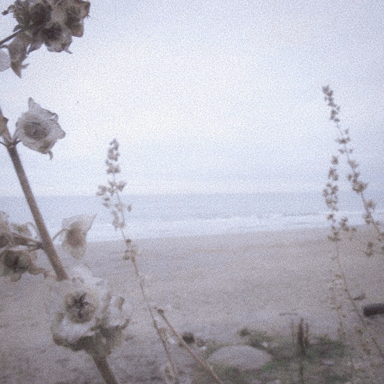 ** interaction call ** 

back after a little break, need somes new friends please, i swear i'm cute 

like for follow/dm 
rt please?