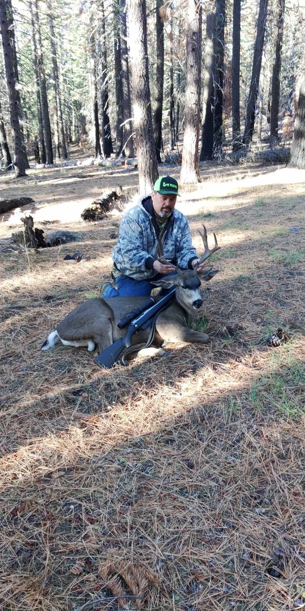 DNZProducts's tweet photo. "DNZ 215 tactical help do the job on my 300 win mag with a Leopold scope in Northern California. Where I'm at they are considered a hybrid mule deer black tail" - Dan F

#dnzmounts #dnzproducts #dnz #deerhunting #deerrifle #deerseason #scoperings #scopemounts #hunting https://t.co/3GLLjUPRql