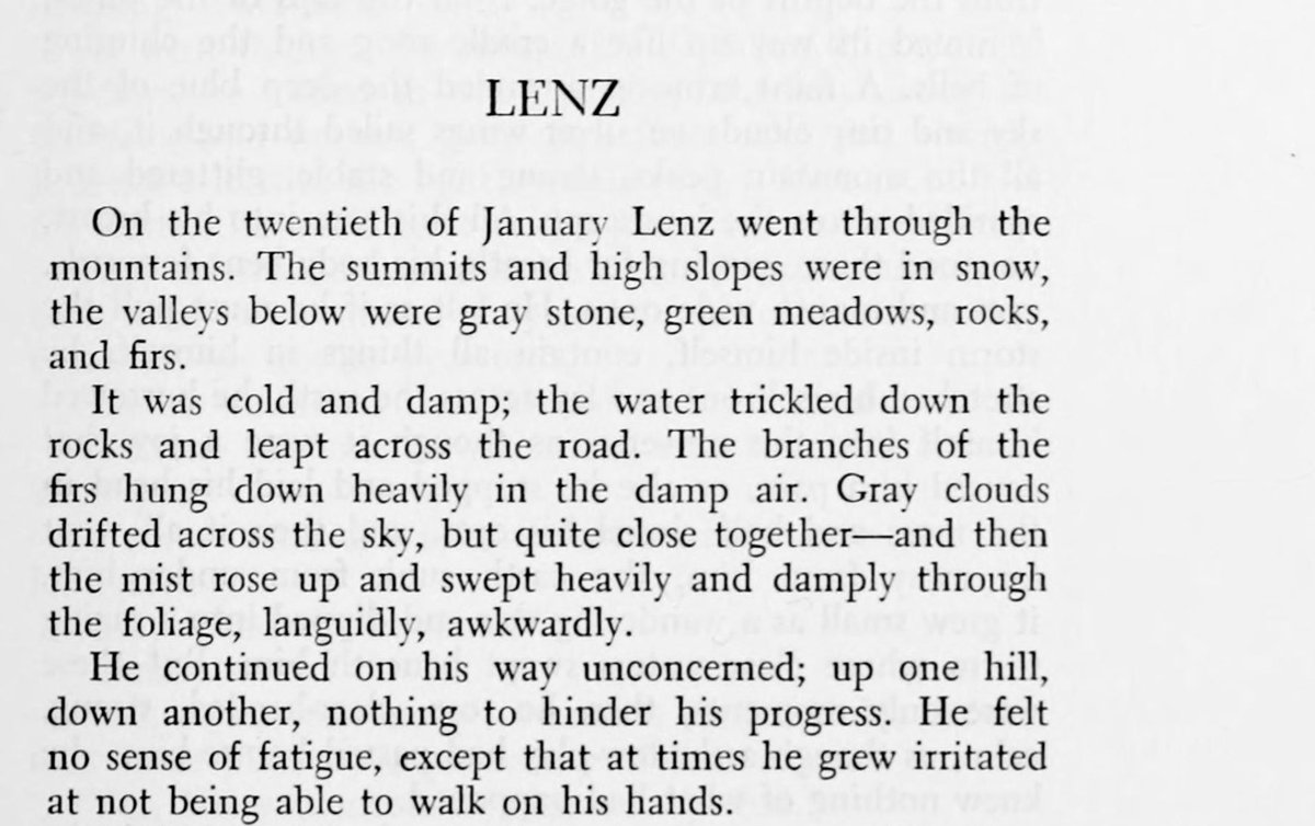 dreamsofbeing_'s tweet photo. “On the twentieth of January Lenz went through the mountains.” https://t.co/eBwryUgV5N
